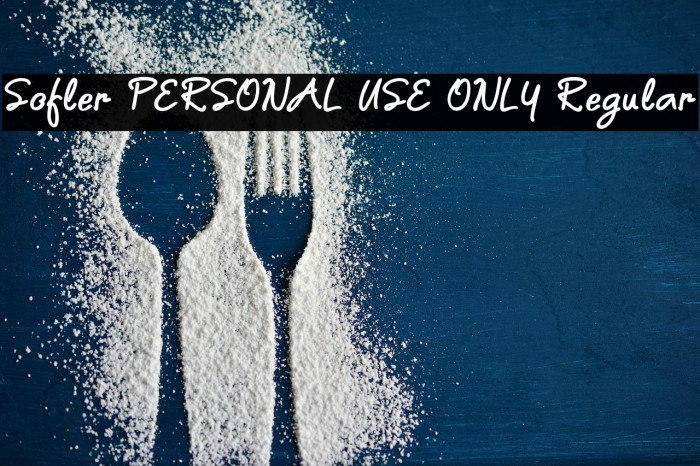 Sofler PERSONAL USE ONLY Regular Example 2
