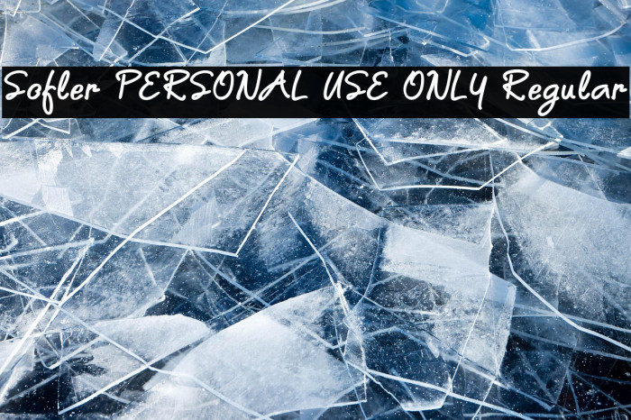 Sofler PERSONAL USE ONLY Regular Example 3