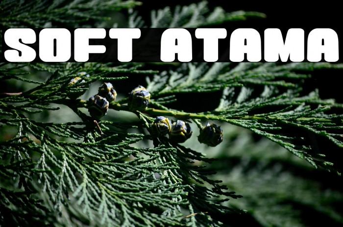 Soft Atama Example 1