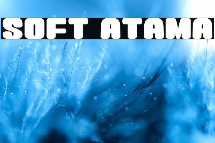 Soft Atama Example 3