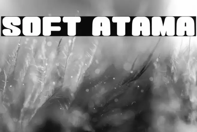 Soft Atama フォント examples