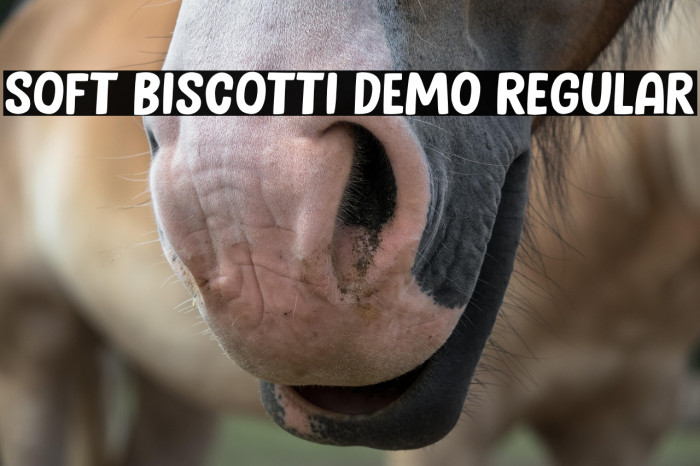 Soft Biscotti DEMO Regular Example 3