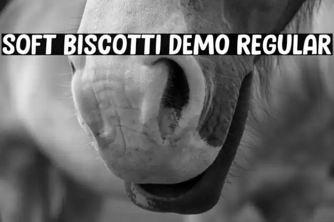 Soft Biscotti DEMO Regular 字体 examples