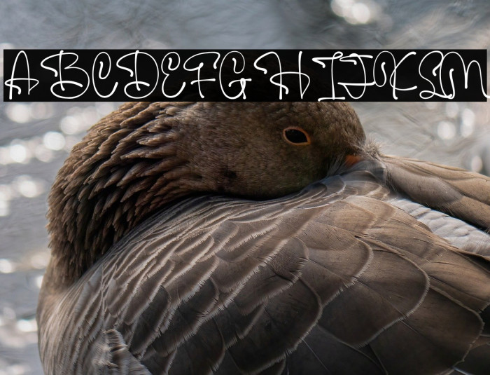 Soft Cantle Personal Use Example 3