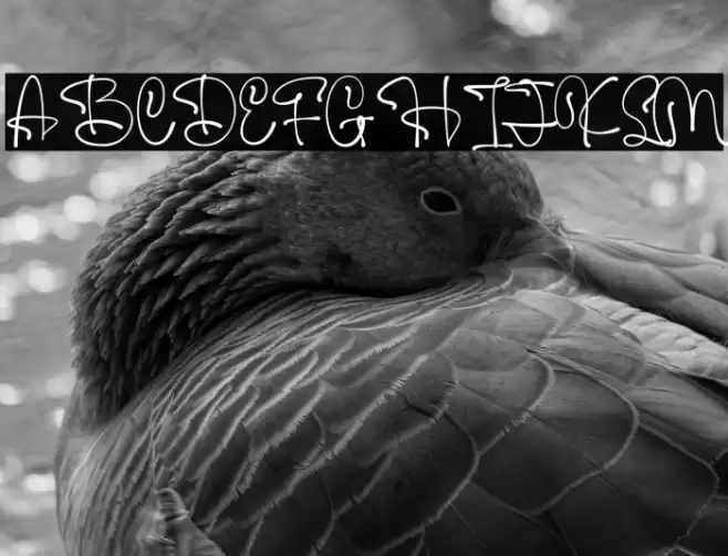 Soft Cantle Personal Use フォント examples