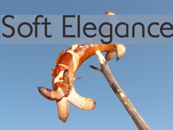 Soft Elegance Font examples