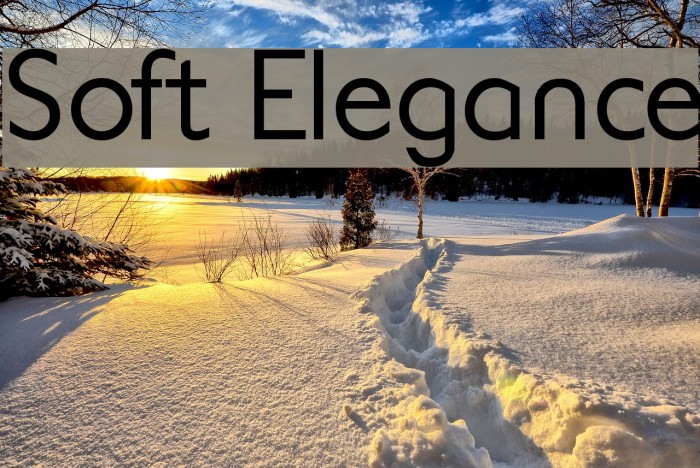 Soft Elegance Font examples