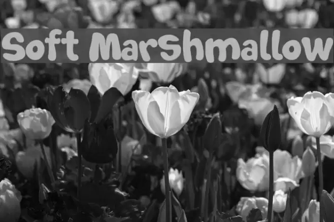 Soft Marshmallow Font examples