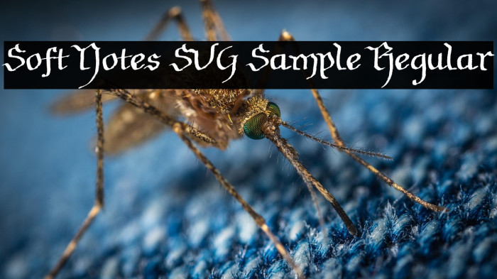 Soft Notes SVG Sample Regular Example 2