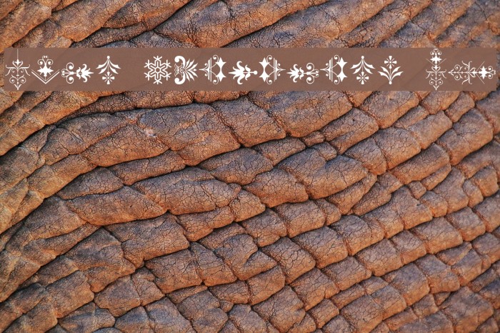 Soft Ornaments 21 Example 2