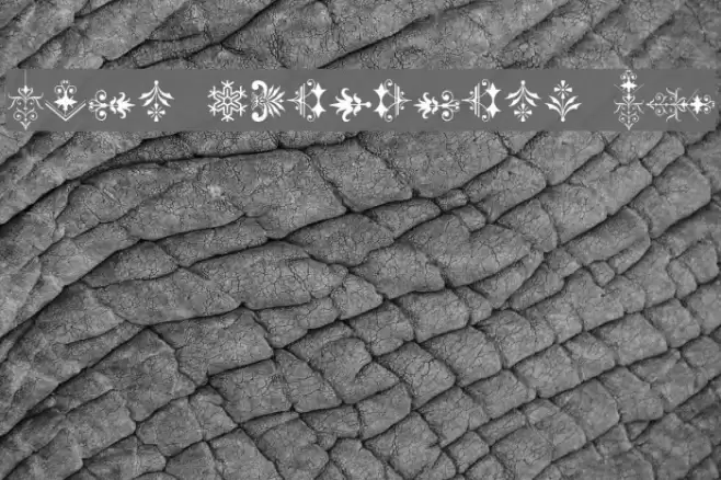 Soft Ornaments 21 Font examples