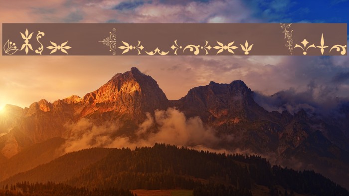 Soft Ornaments Five Font examples