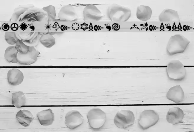 Soft Ornaments Nineteen Font examples