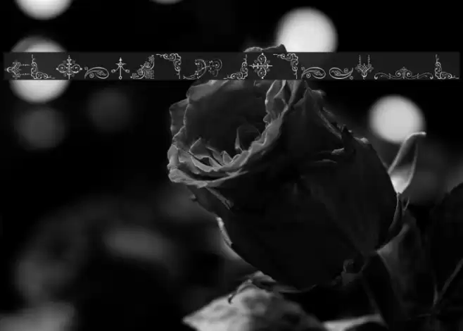 Soft Ornaments Two Font examples