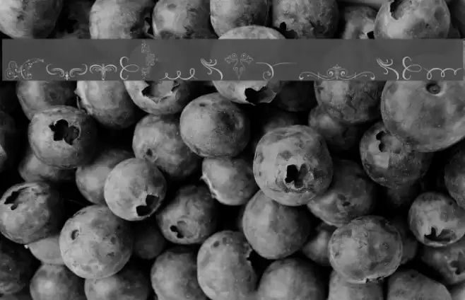 Soft Ornaments Font examples