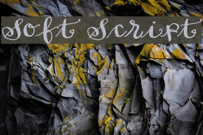 Soft Script Font examples