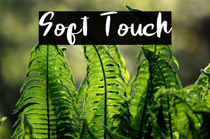 Soft Touch Example 2
