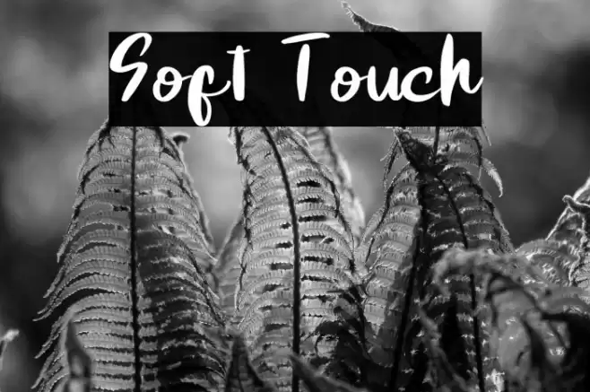 Soft Touch Font examples