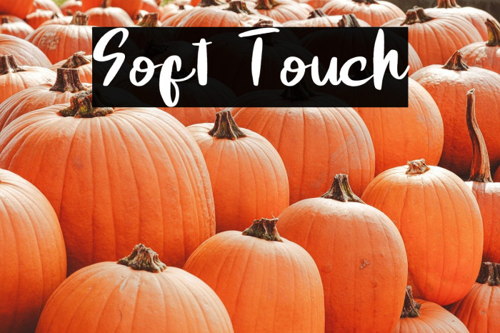 Soft Touch Example 3