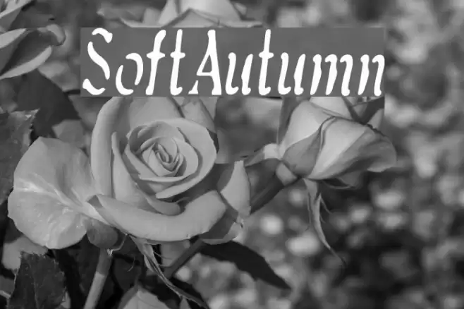 SoftAutumn Font examples