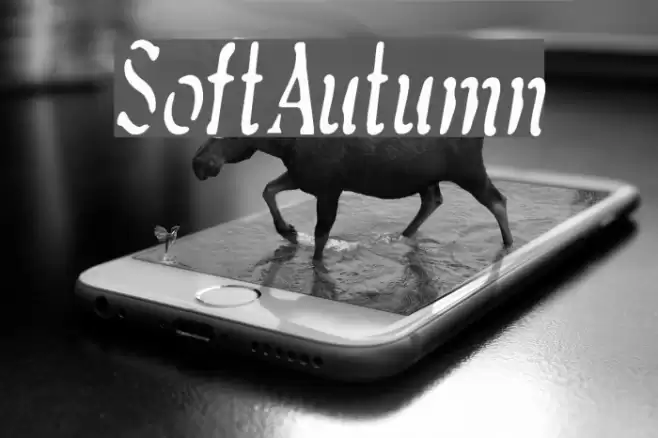 SoftAutumn Font examples