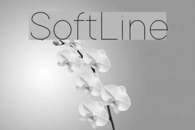 SoftLine Font examples