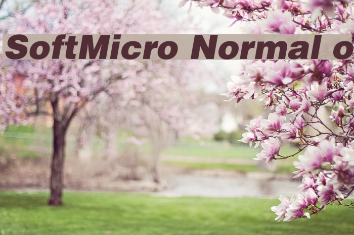 SoftMicro Normal o Polices examples