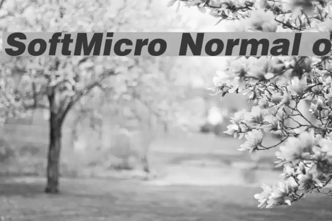 SoftMicro Normal o Polices examples