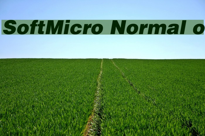 SoftMicro Normal o Polices examples