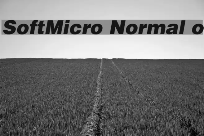 SoftMicro Normal o Polices examples
