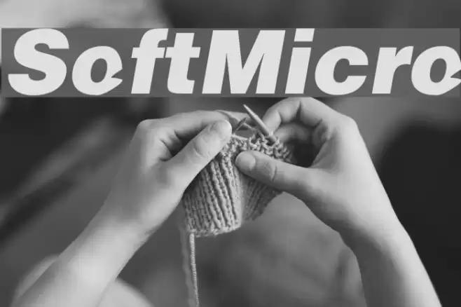 SoftMicro Fonte examples