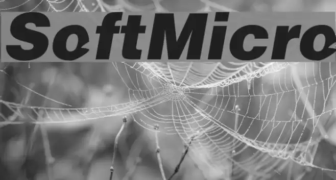 SoftMicro Fonte examples