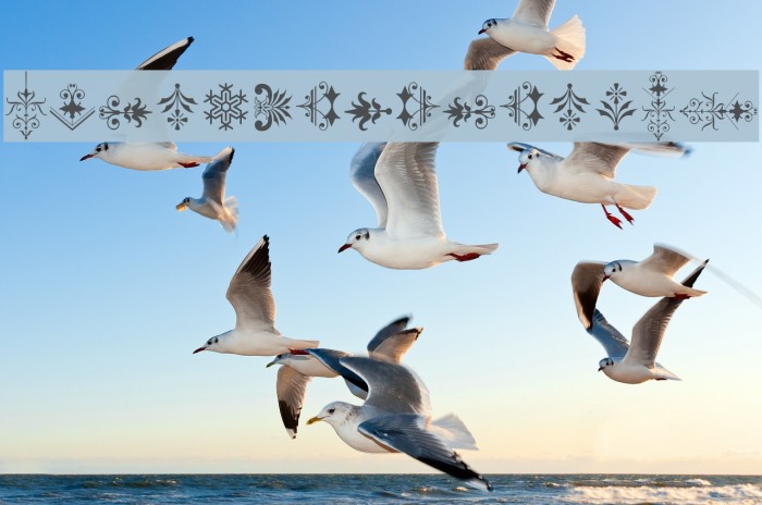 SoftOrnaments21 Font examples