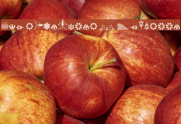 SoftOrnamentsEighteen Font examples