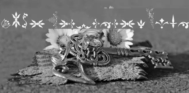 SoftOrnamentsFive Font examples