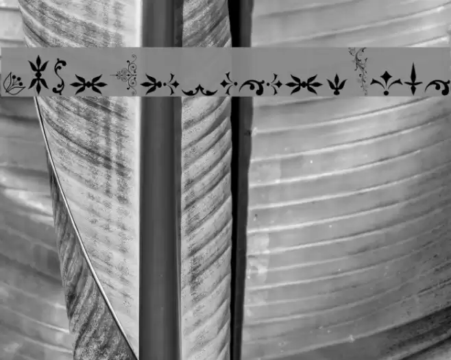 SoftOrnamentsFive Font examples