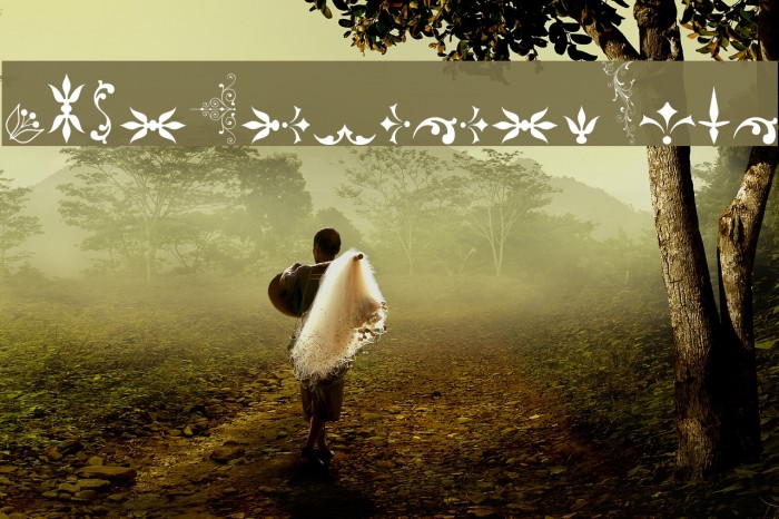 SoftOrnamentsFive Example 3