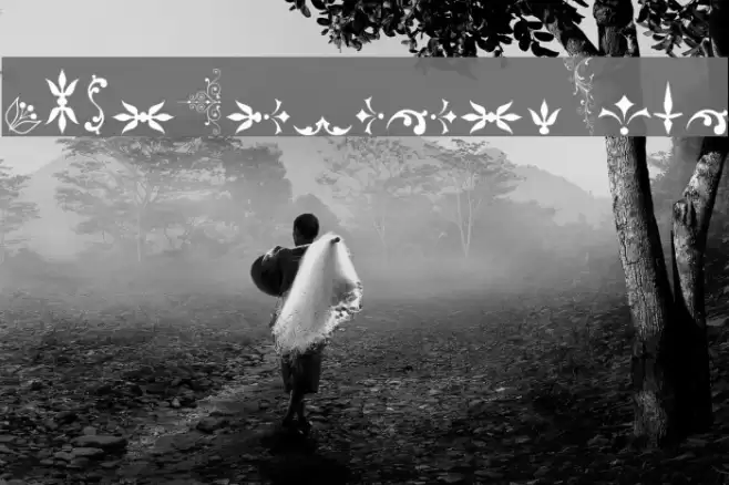 SoftOrnamentsFive Font examples