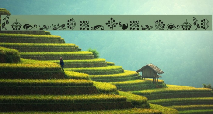 SoftOrnamentsFour Example 1