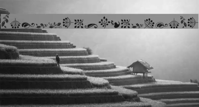 SoftOrnamentsFour Font examples