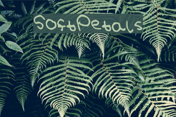 SoftPetals Example 1