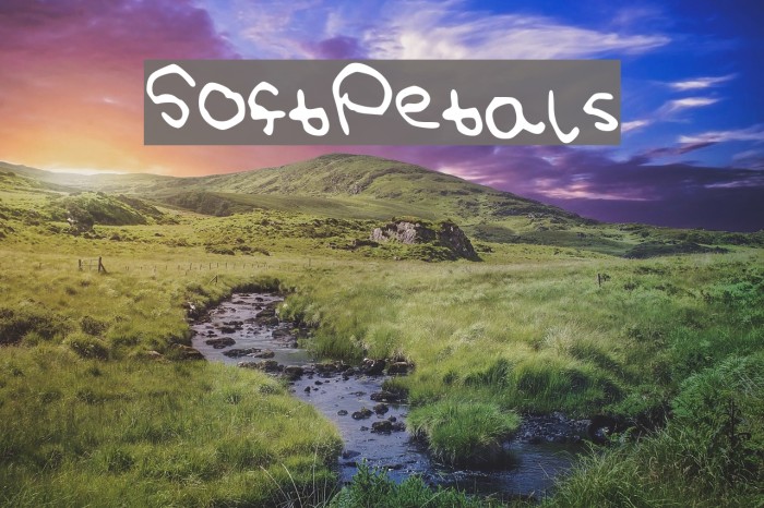 SoftPetals Example 2