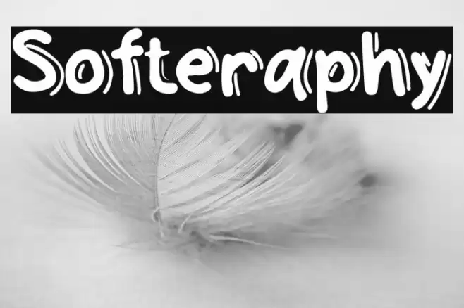 Softeraphy Font examples