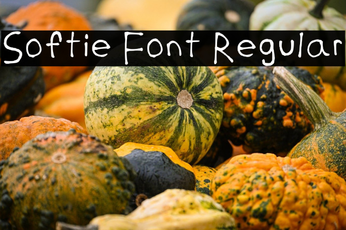 Softie Font Regular Example 2