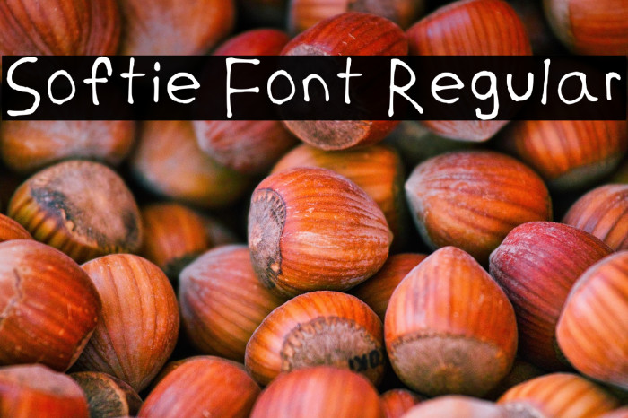 Softie Font Regular Example 3