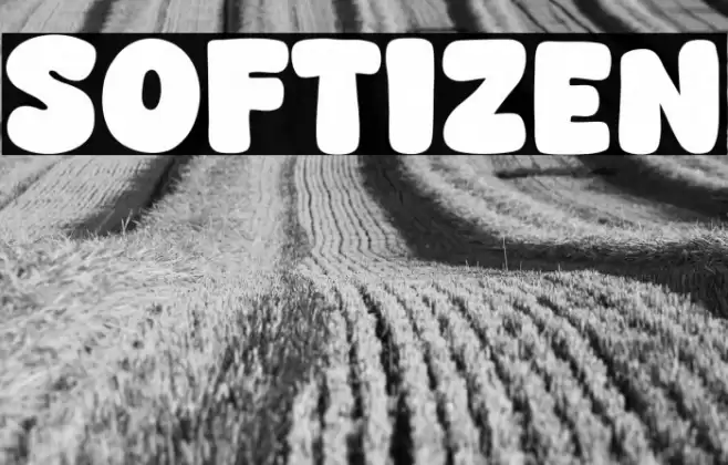 Softizen Font examples