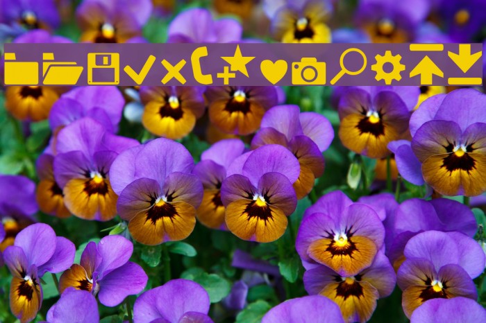 Software Kit 7 Font examples