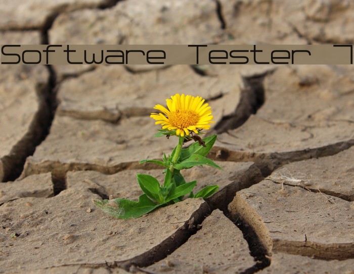 Software Tester 7 Font examples