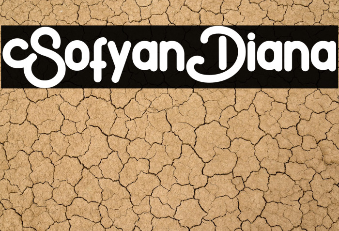 SofyanDiana Example 1