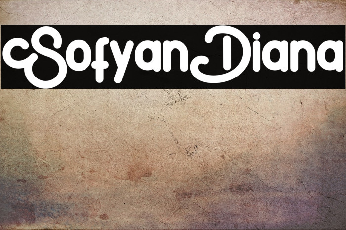 SofyanDiana Example 2